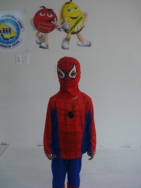 fancy dress 026.jpg